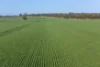 Lot 22 South Bremer Road, Hartley, SA 5255-Image