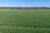 Lot 22 South Bremer Road, Hartley, SA 5255-Image