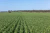 Lot 22 South Bremer Road, Hartley, SA 5255-Image