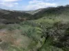 Lot 243 Flinders Ranges Way, Quorn, SA 5433-Image