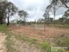 Lot 264 Kunioon Road, Kunioon, Qld 4615-Image