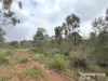 Lot 264 Kunioon Road, Kunioon, Qld 4615-Image