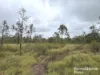 Lot 264 Kunioon Road, Kunioon, Qld 4615-Image