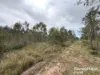 Lot 264 Kunioon Road, Kunioon, Qld 4615-Image