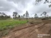 Lot 264 Kunioon Road, Kunioon, Qld 4615-Image