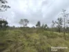 Lot 264 Kunioon Road, Kunioon, Qld 4615-Image