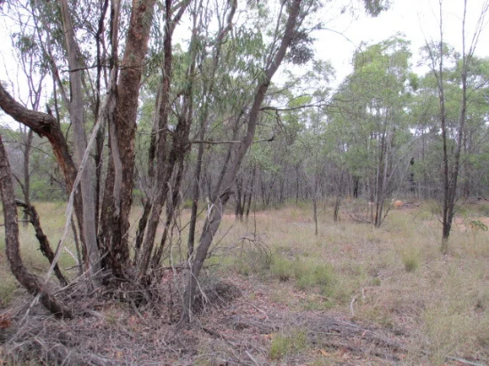 Lot 280 Fortune Drive, Tara, Qld 4421