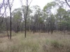 Lot 280 Fortune Drive, Tara, Qld 4421-Image