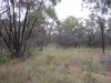 Lot 280 Fortune Drive, Tara, Qld 4421-Image