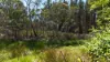 Lot 3 /1024 Mayfield Road, Braidwood, NSW 2622-Image