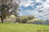 Lot 3/2553 Campfire Road, Walcha, NSW 2354-Image