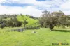 Lot 3/2553 Campfire Road, Walcha, NSW 2354-Image