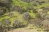 Lot 3/2553 Campfire Road, Walcha, NSW 2354-Image