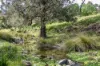 Lot 3/2553 Campfire Road, Walcha, NSW 2354-Image