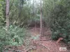 Lot 3 Jordans Road, North Motton, Tas 7315-Image