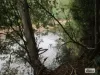 Lot 3 Jordans Road, North Motton, Tas 7315-Image