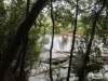 Lot 3 Jordans Road, North Motton, Tas 7315-Image