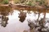 Lot 3 Jordans Road, North Motton, Tas 7315-Image