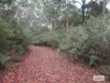 Lot 3 Jordans Road, North Motton, Tas 7315-Image