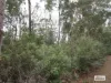 Lot 3 Jordans Road, North Motton, Tas 7315-Image