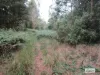 Lot 3 Jordans Road, North Motton, Tas 7315-Image