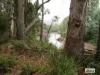 Lot 3 Jordans Road, North Motton, Tas 7315-Image