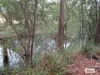 Lot 3 Jordans Road, North Motton, Tas 7315-Image