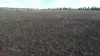 Lot 3 T Moore Road, Oakey QLD 4401-Image