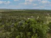 Lot 32 Pine Close, Biboohra QLD 4880-Image