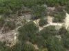 Lot 32 Pine Close, Biboohra QLD 4880-Image