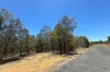 Lot 32 Pine Close, Biboohra QLD 4880-Image