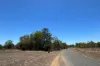 Lot 32 Pine Close, Biboohra QLD 4880-Image