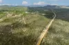 Lot 32 Pine Close, Biboohra QLD 4880-Image