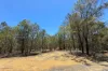 Lot 32 Pine Close, Biboohra QLD 4880-Image
