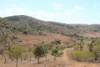 Lot 35 Aplin Road, Bracewell QLD 4695-Image