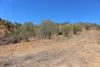 Lot 35 Aplin Road, Bracewell QLD 4695-Image