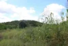 Lot 35 Aplin Road, Bracewell QLD 4695-Image