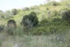 Lot 35 Aplin Road, Bracewell QLD 4695-Image