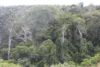 Lot 35 Aplin Road, Bracewell QLD 4695-Image