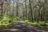 Lot 35 Myrtle Mountain Road, Candelo, NSW 2550-Image
