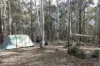 Lot 35 Myrtle Mountain Road, Candelo, NSW 2550-Image