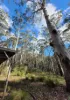 Lot 35 Myrtle Mountain Road, Candelo, NSW 2550-Image