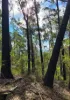 Lot 35 Myrtle Mountain Road, Candelo, NSW 2550-Image