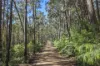 Lot 35 Myrtle Mountain Road, Candelo, NSW 2550-Image