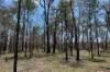 Lot 4 Mary Road, Tara, Qld 4421-Image