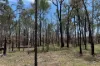 Lot 4 Mary Road, Tara, Qld 4421-Image