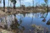 Lot 4 Mary Road, Tara, Qld 4421-Image