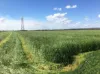 Lot 4195 Jackson Road, Cookernup, WA 6219-Image