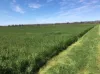 Lot 4195 Jackson Road, Cookernup, WA 6219-Image