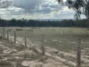 Lot 42 Ravensmoor Road, PASSCHENDAELE QLD 4352-Image